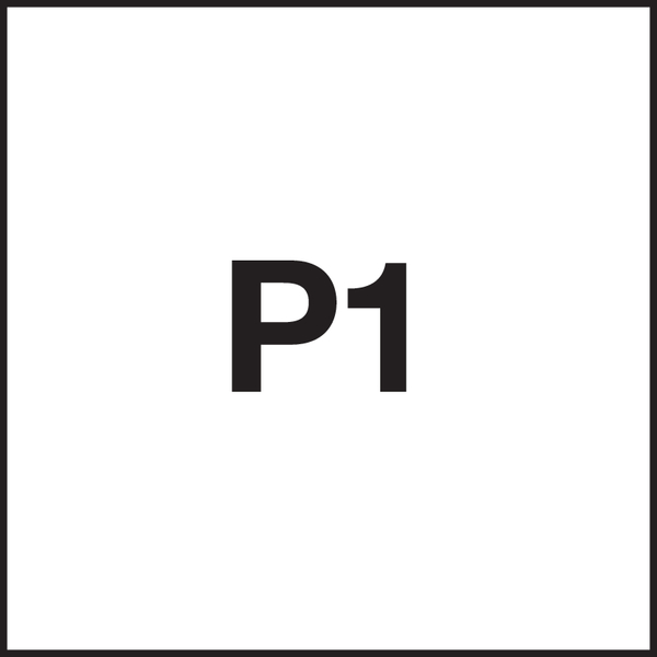 Typ: P1